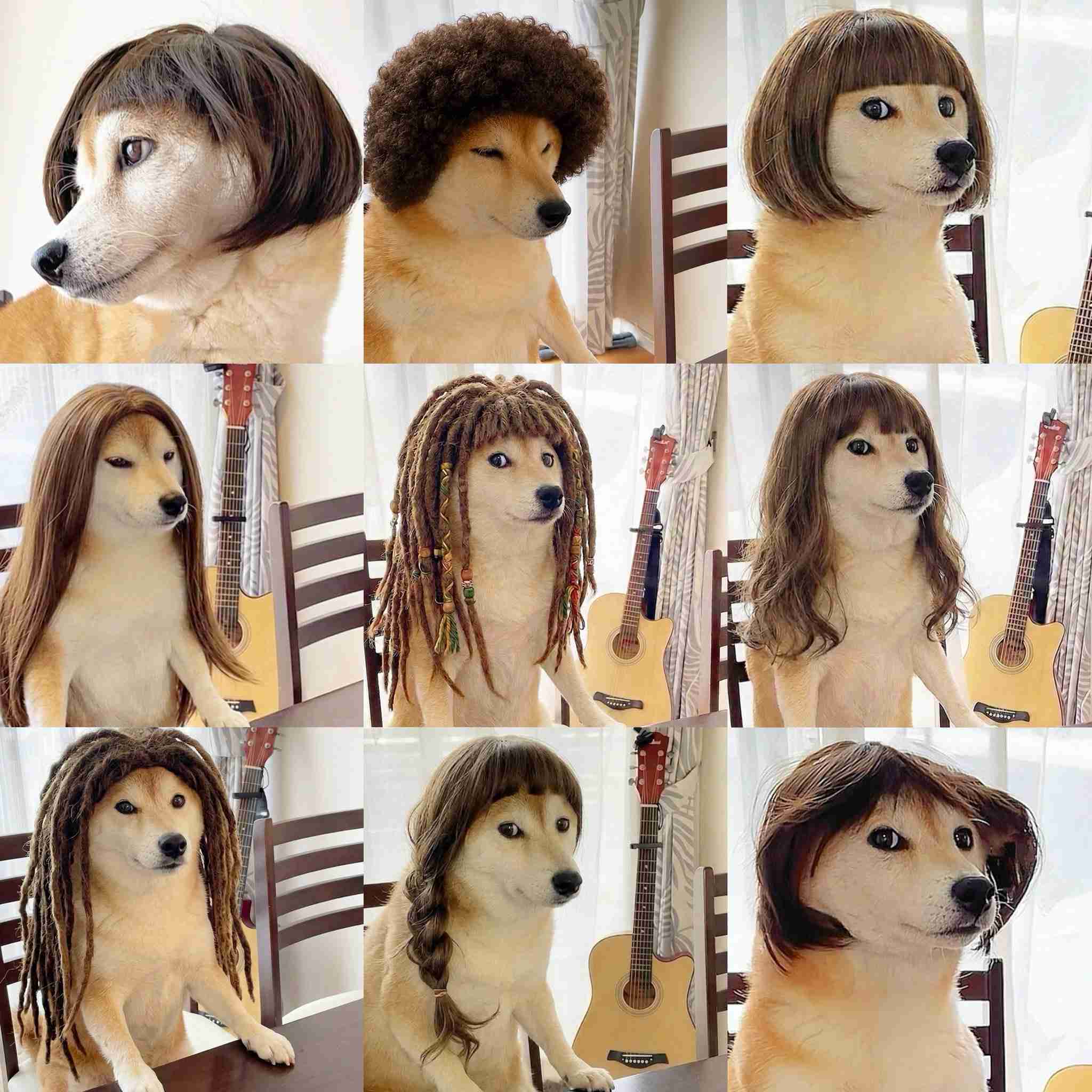 癖毛が辛い