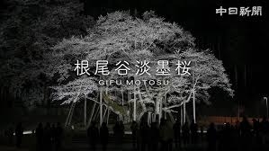 【小中高】国語教科書の作品や読み物の思い出