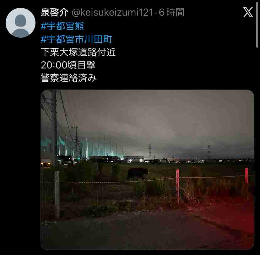 8日宇都宮市の全ての市立小中学校が臨時休校　夜中も相次ぐクマの目撃　警察や猟友会がパトロールで注意呼びかけ
