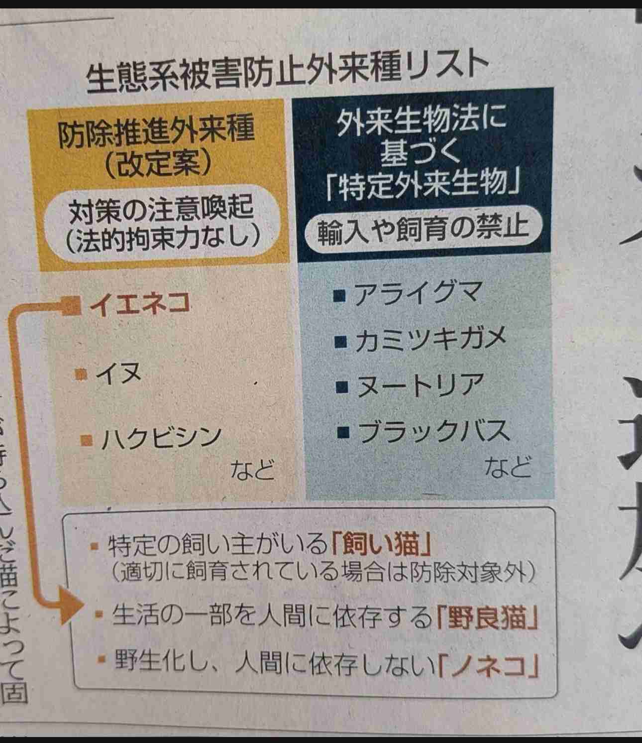 【独自】生態系対策、イエネコ追加へ　環境省、希少種の捕食などで