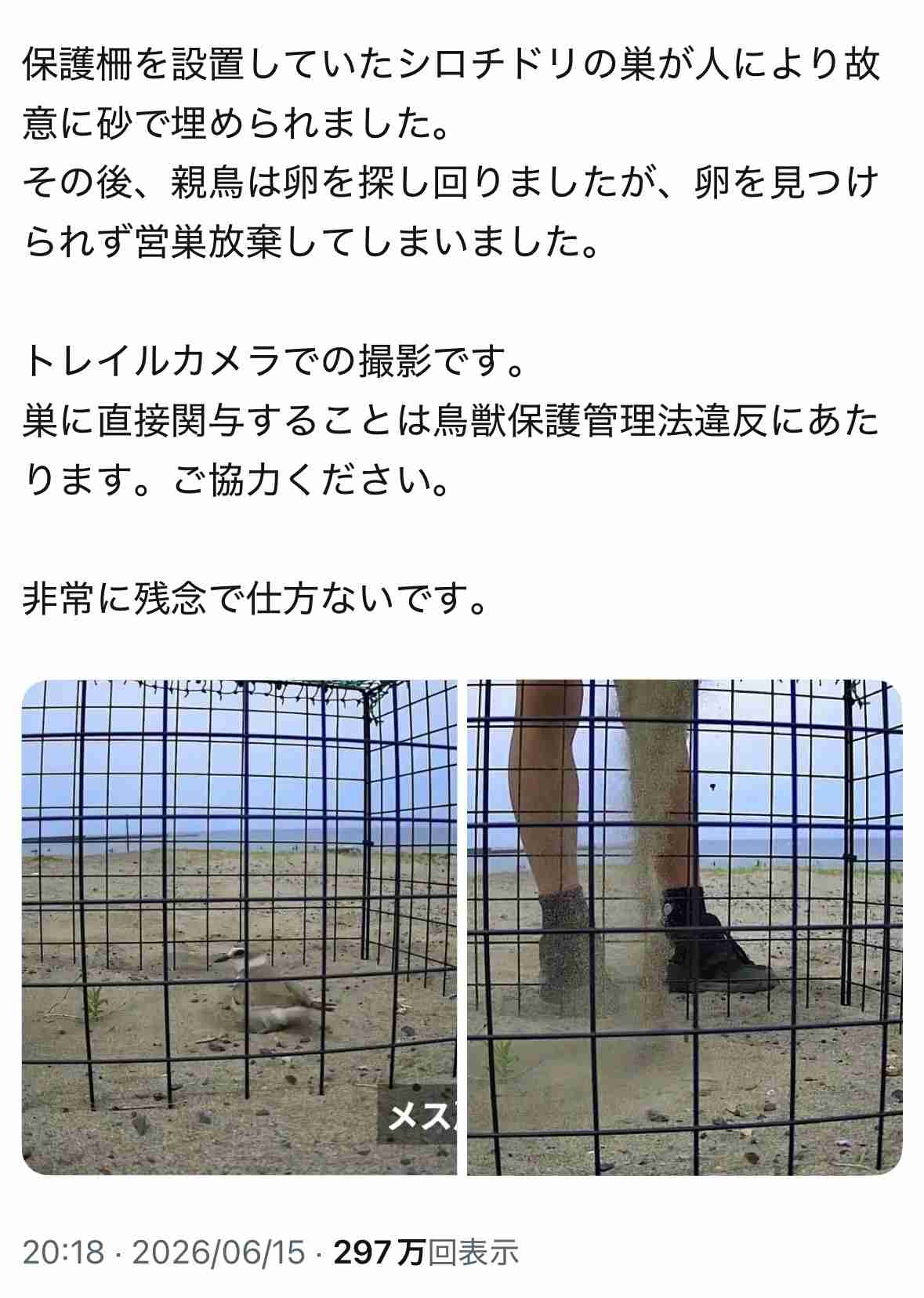 「ここまで壊す必要ある？」　小1娘が公園に忘れたたまごっち、ありえない結末に絶句「まだ盗まれた方が…」