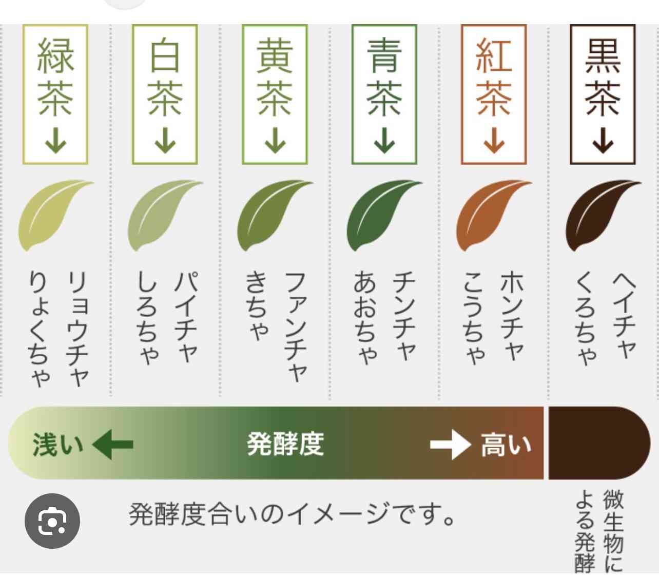 世界的ブームの抹茶「中国が発祥の地」とアピール、世界生産7割を占め「日本を凌駕することを願う」