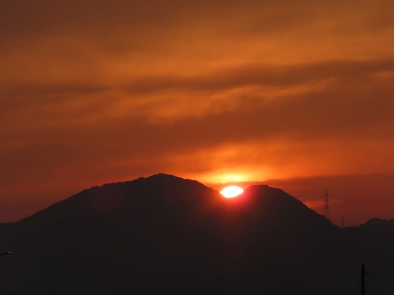 【本日夏至の日】何かする?