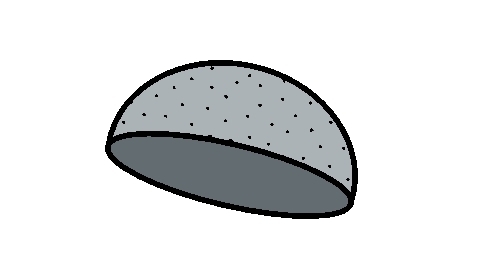 【本日夏至の日】何かする?