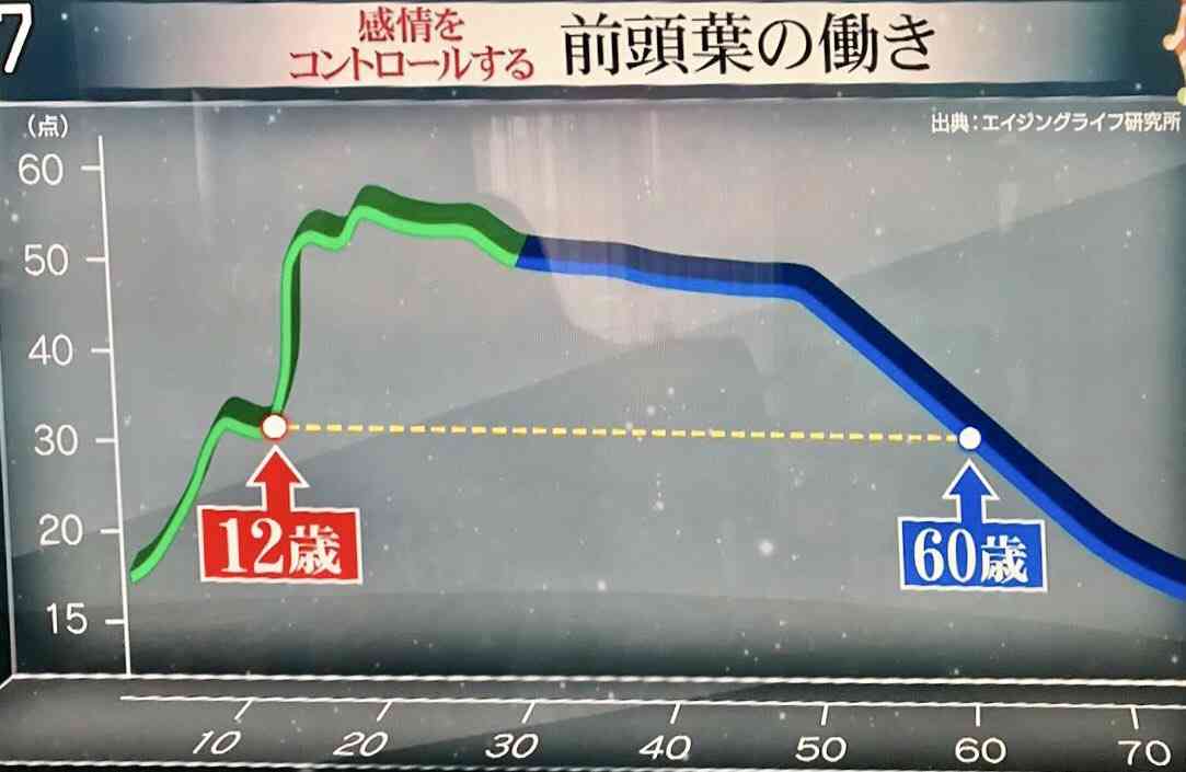 「ネコ殺しちゃいました」　鳴き声に腹を立てる　飼いネコを蹴ったり棒で殴ったり床に叩きつけたりして殺した70代無職の男を書類送検　起訴を求める厳重処分の意見　「カッとなって苛立ってやってしまった」