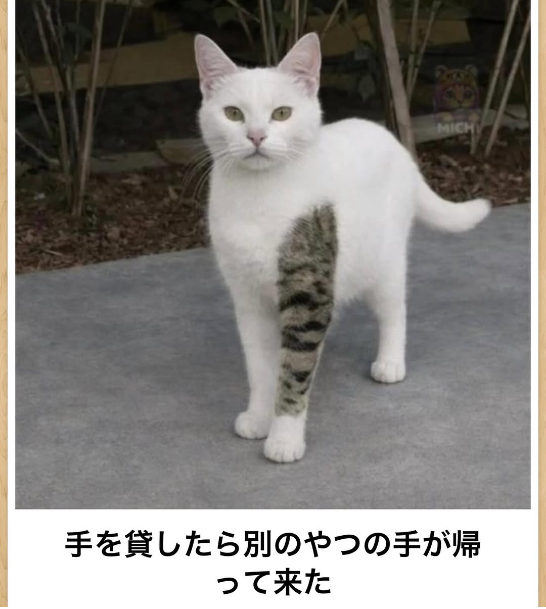 地味に笑える画像が見たいPart2