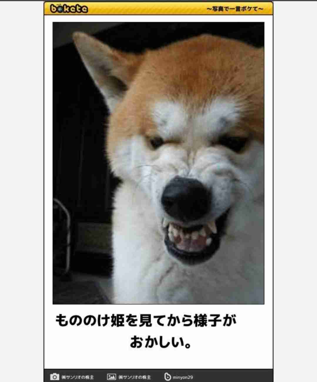 地味に笑える画像が見たいPart2