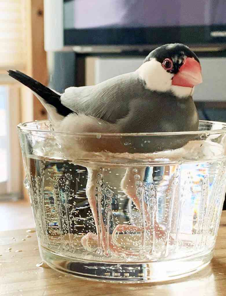 地味に笑える画像が見たいPart2