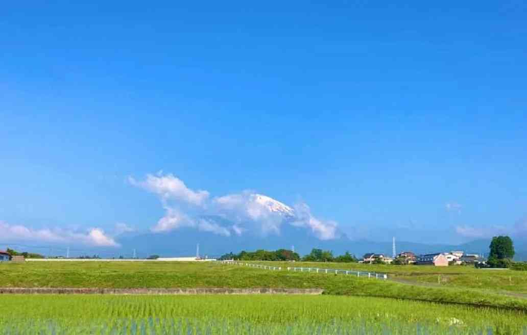 田舎のメリットを挙げよう(強引可)