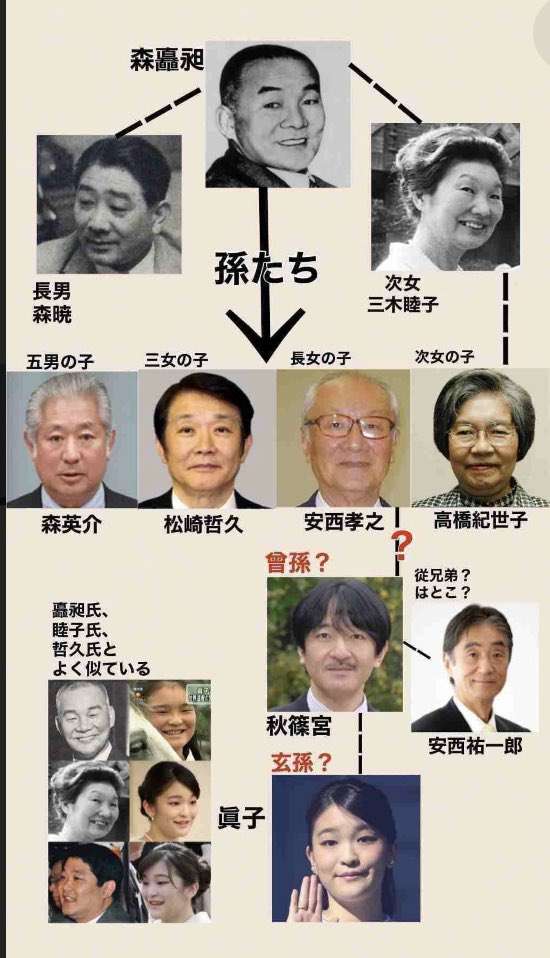 養子案 「男の子が生まれれば、皇位継承権を持つ」と森衆院議長