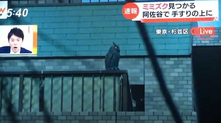 こんなニュース思い出してる人おらんやろ！ってこと
