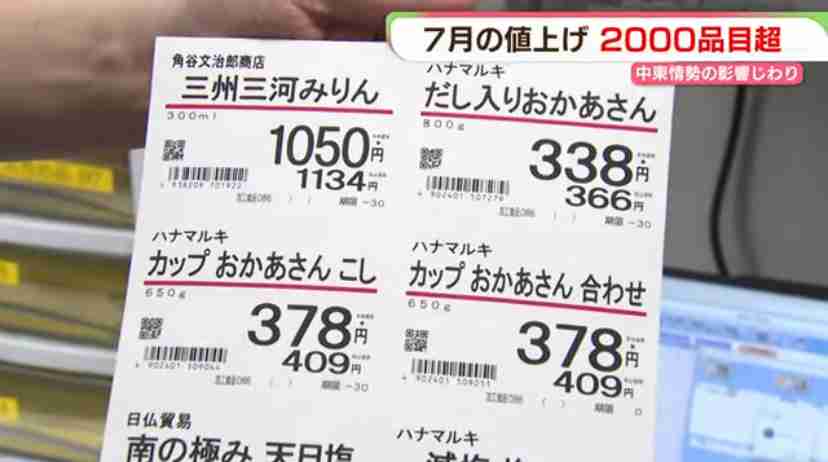 【速報】皇族数確保に向けた皇室典範の改正案 政府が臨時閣議で決定
