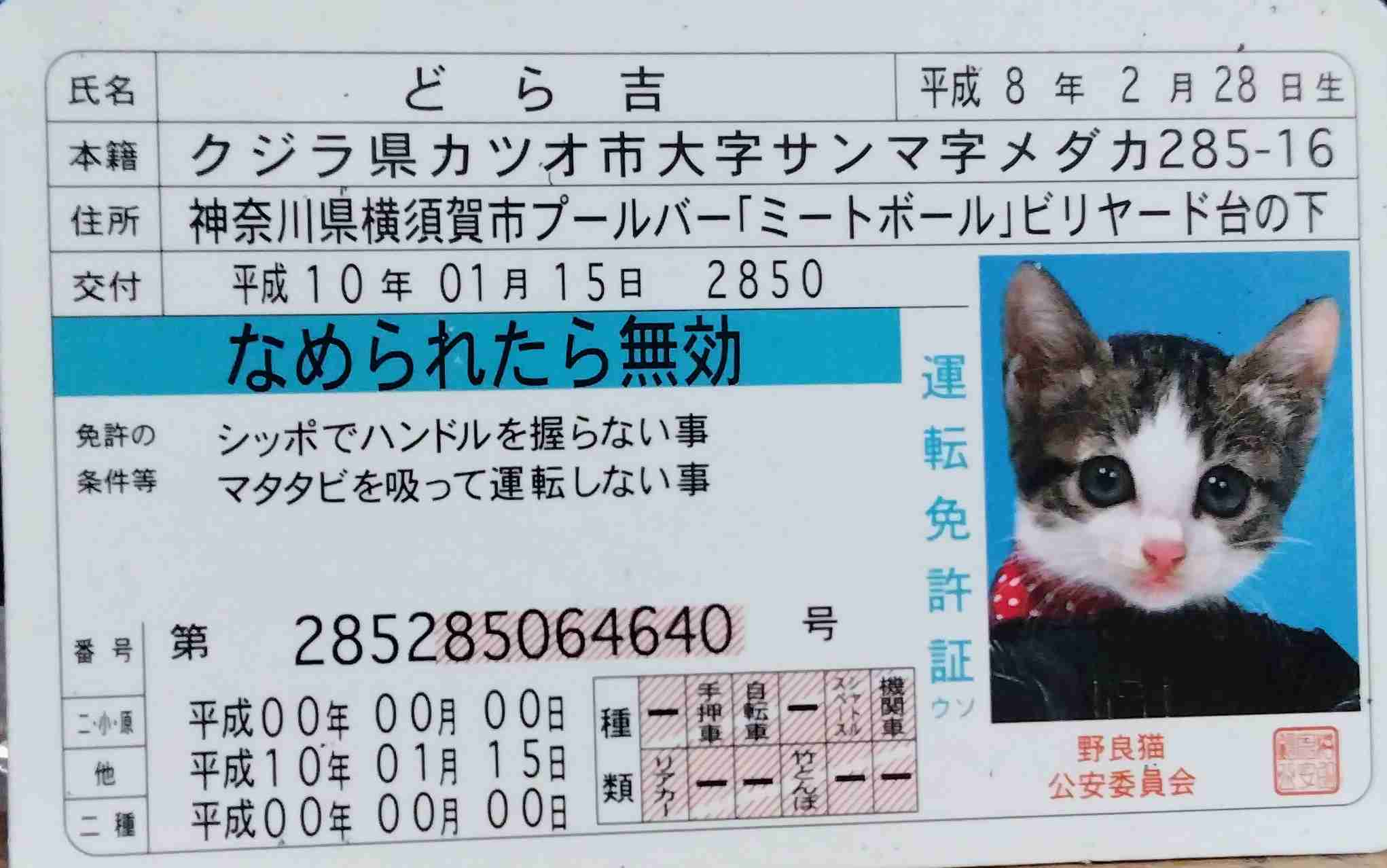 女だから舐められてるなって思う時ありますか?