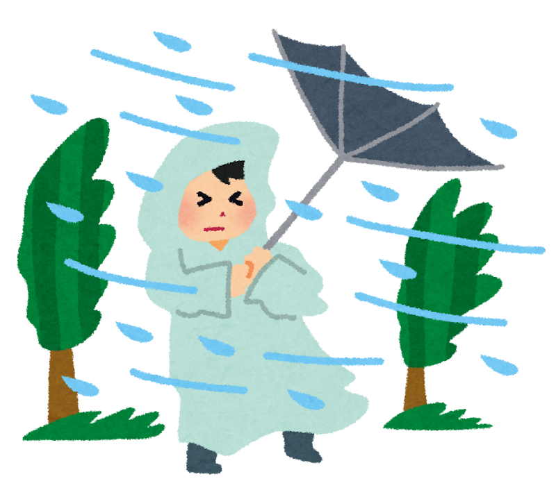 台風に振り回された人