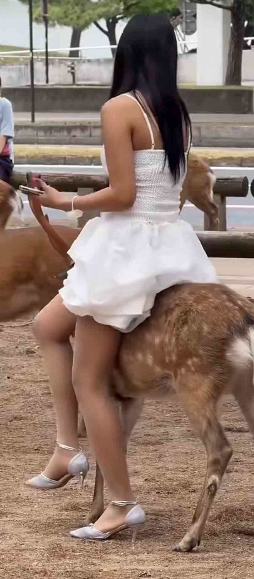 奈良のシカに女性が腰掛け「乗れる乗れる」...動画拡散　県「非常に不適切」、「直接接触はやめて」訴え