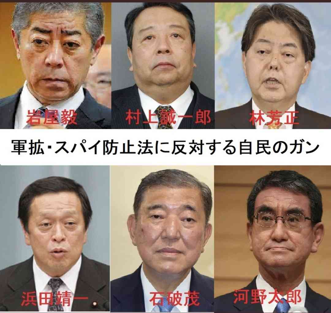 「売国」と590万回も叩かれた岩屋毅議員が激白、ネットのデマに歪められる民主主義の危機に「保守政治家」が取るべき道
