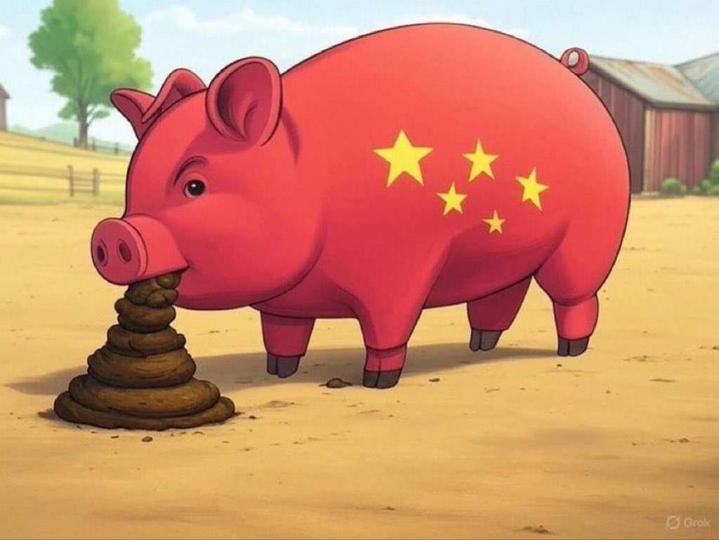 中国富裕層が語る「あまり満足できなかった日本観光」の内容 訪日客が激減している
