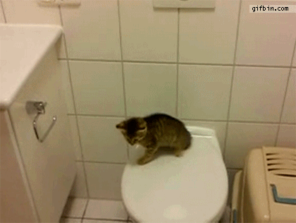 思わず微笑んじゃう画像