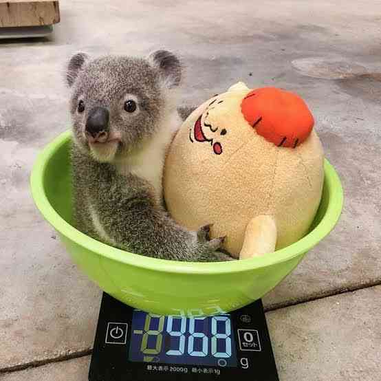 思わず微笑んじゃう画像