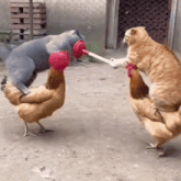 思わず微笑んじゃう画像