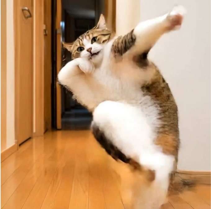 思わず微笑んじゃう画像