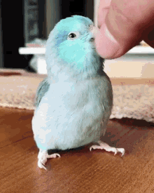 思わず微笑んじゃう画像