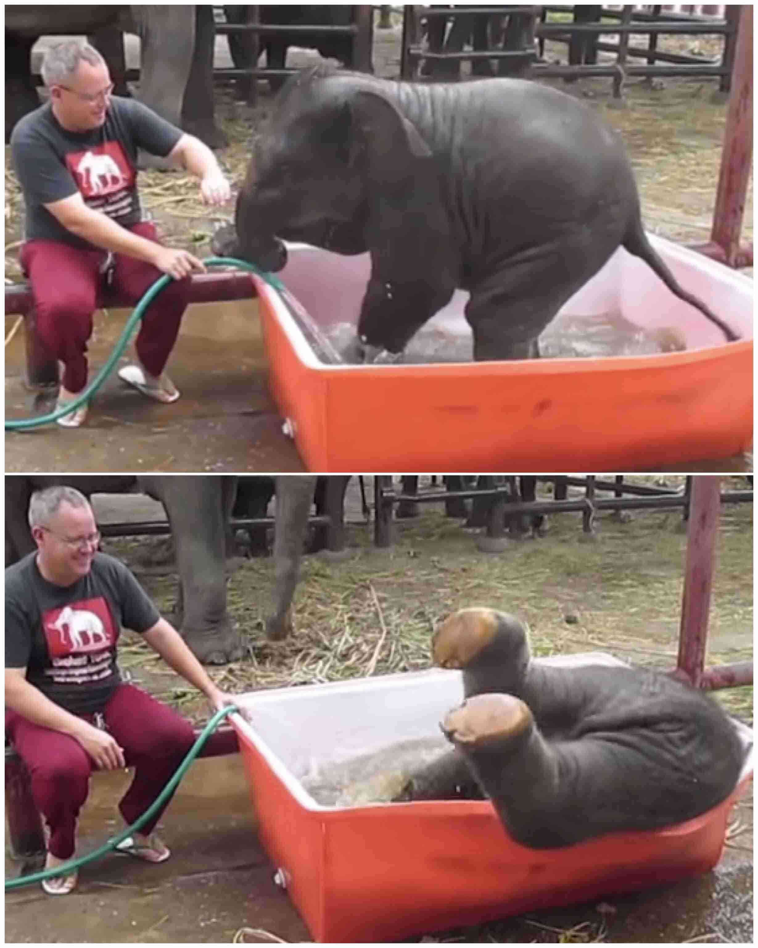 思わず微笑んじゃう画像