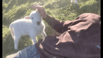 思わず微笑んじゃう画像