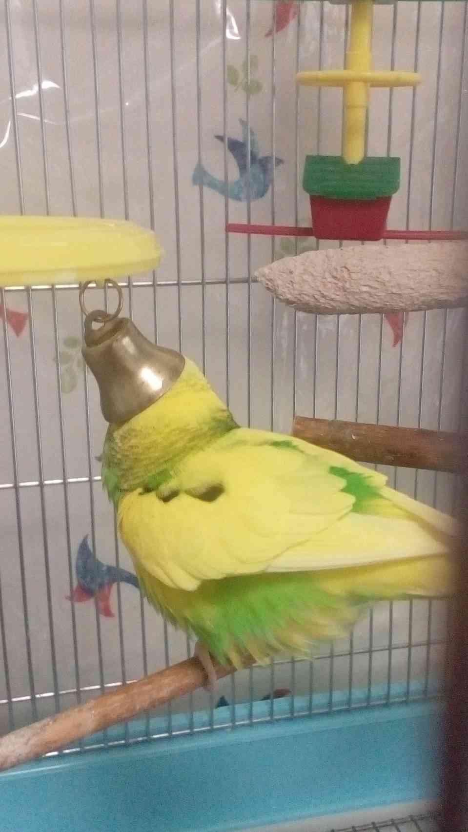 思わず微笑んじゃう画像