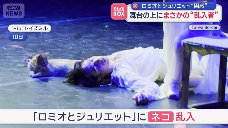 思わず微笑んじゃう画像