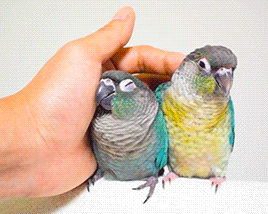 思わず微笑んじゃう画像