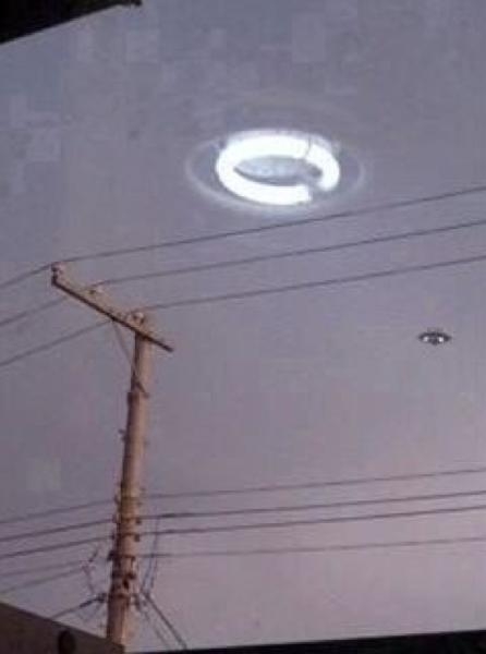 嘘かと思ったら本当だった画像を貼るトピ Part5