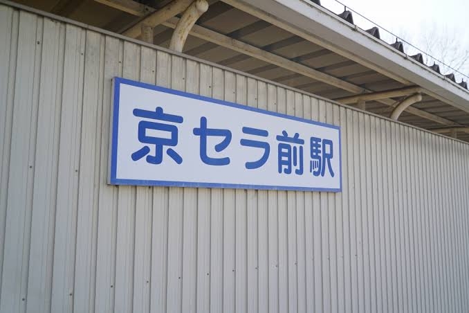 嘘かと思ったら本当だった画像を貼るトピ Part5