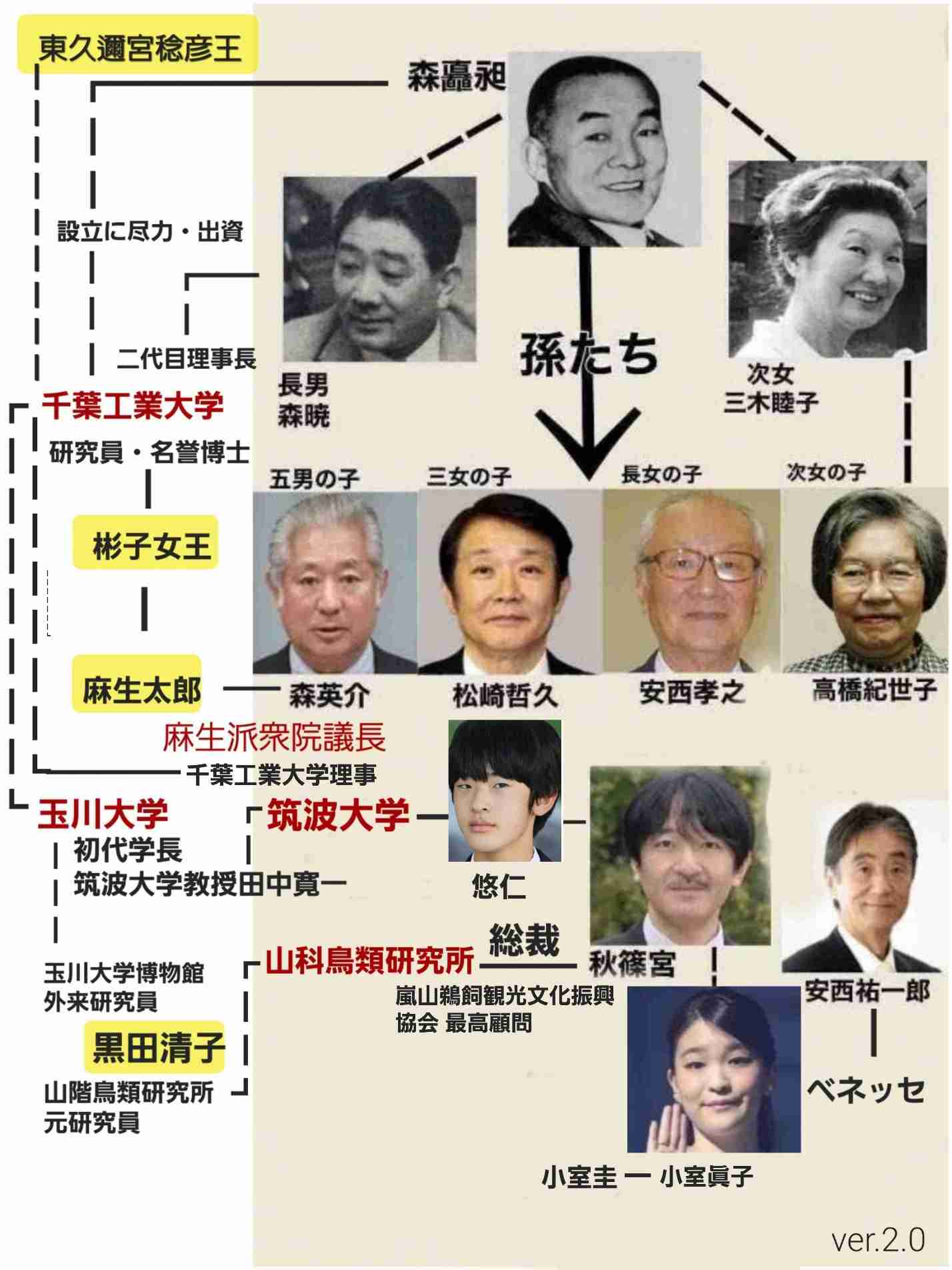 旧宮家養子見直し20～30年後　皇族数確保、変化見極め