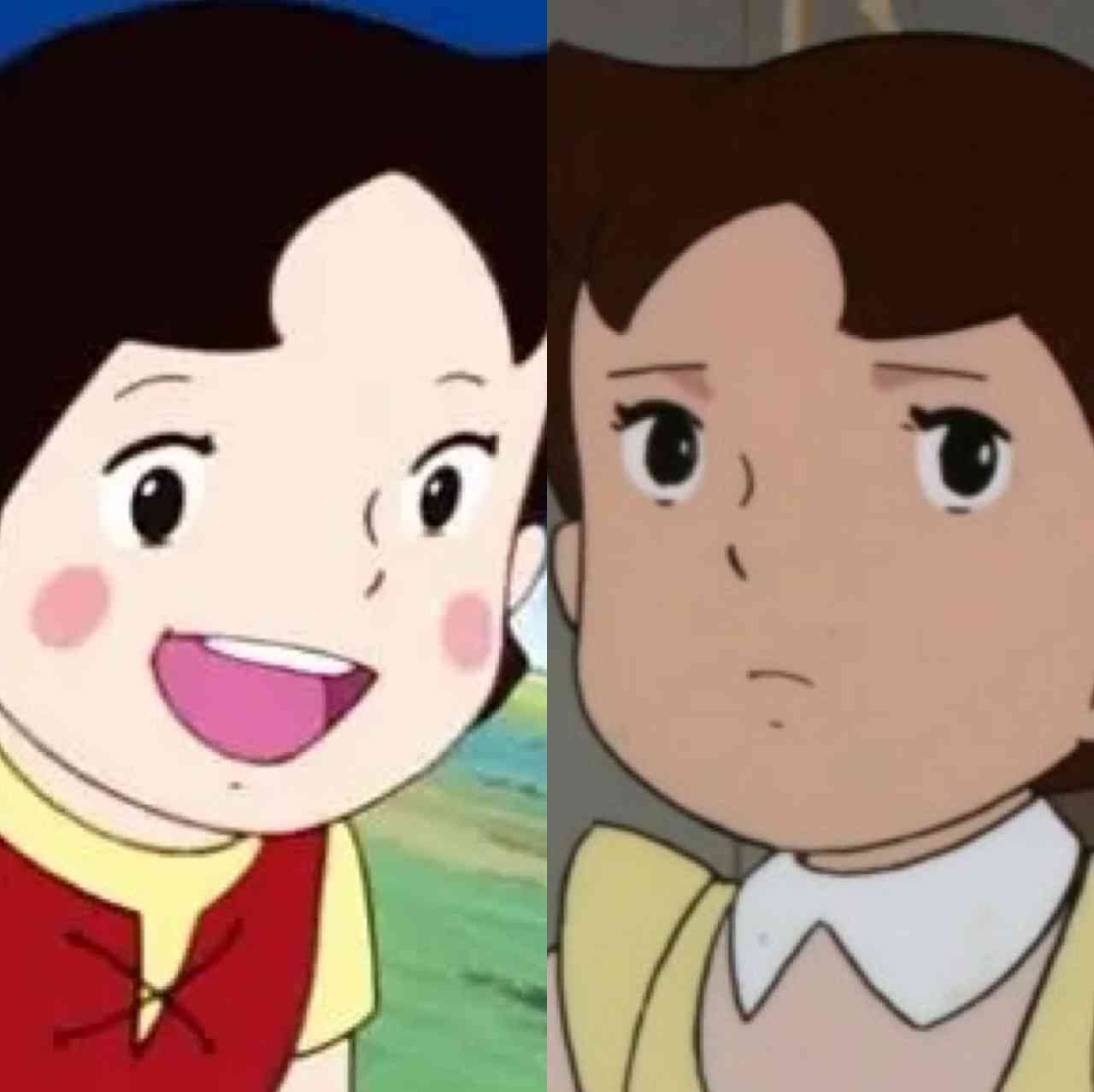 「アルプスの少女ハイジ」について知っていること