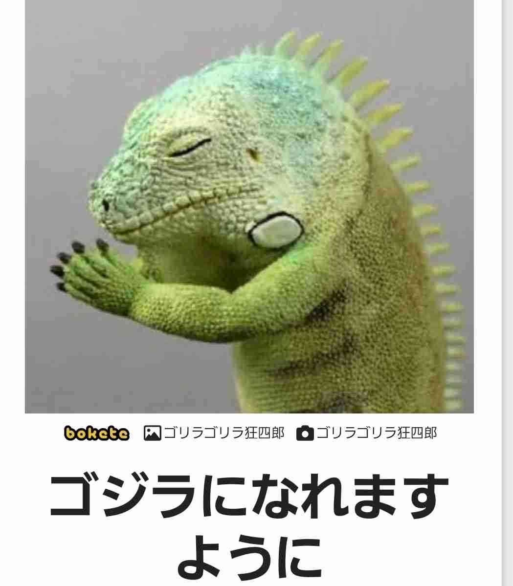 爬虫類、両生類飼ってる人！