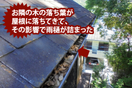 隣家からの葉っぱの侵入