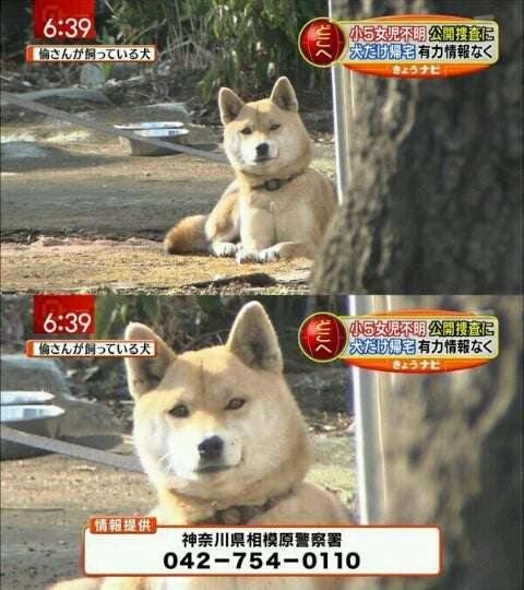 昔ネットで話題になった人たちを懐かしむトピPart3