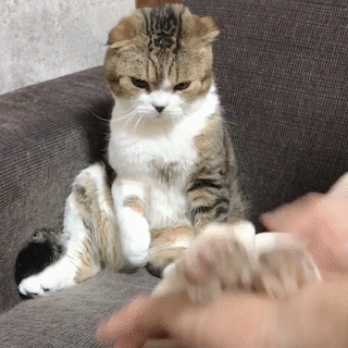 昔ネットで話題になった人たちを懐かしむトピPart3