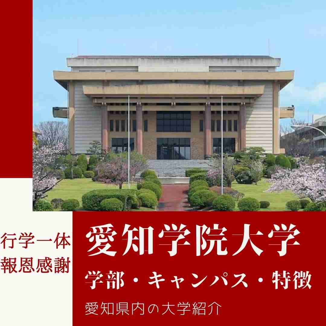 都市部の私立有名大学か地方の国公立大学か
