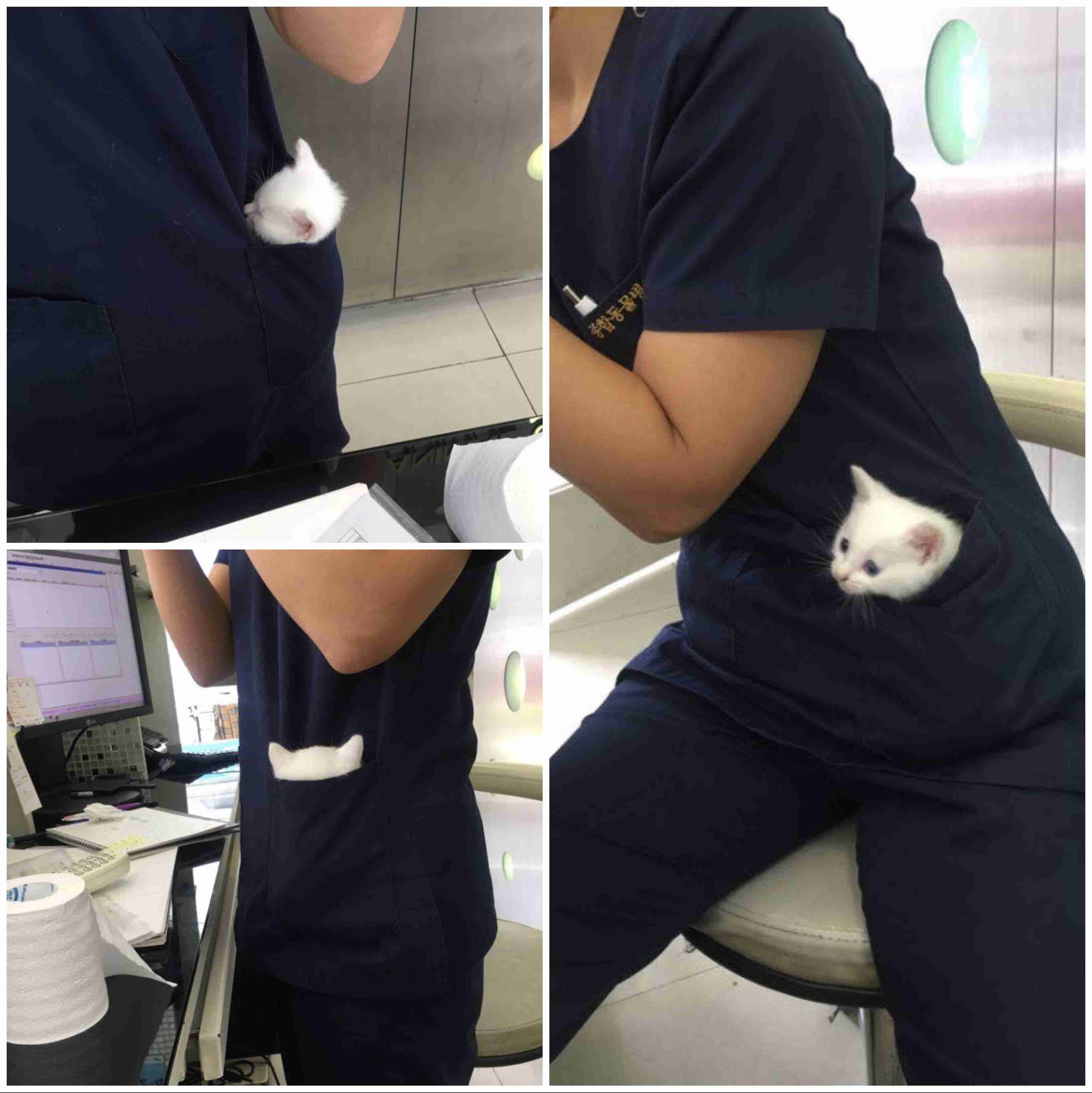 動物病院での、感動・ほっこり・笑えるエピソード③