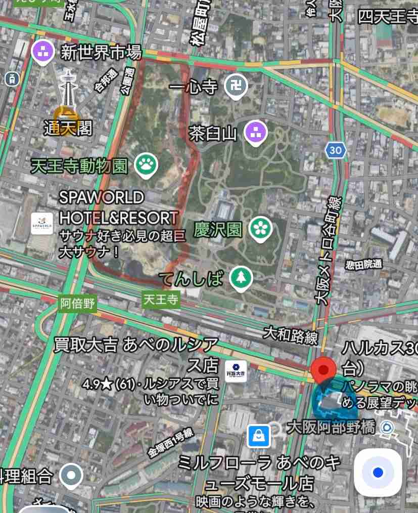 全国の動物園の魅力を語ろう!