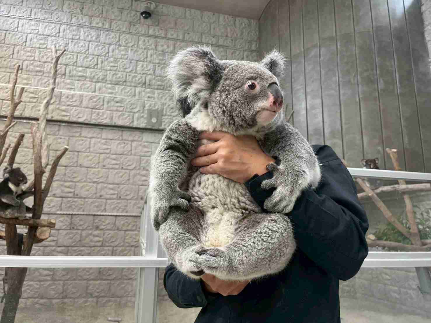 全国の動物園の魅力を語ろう!