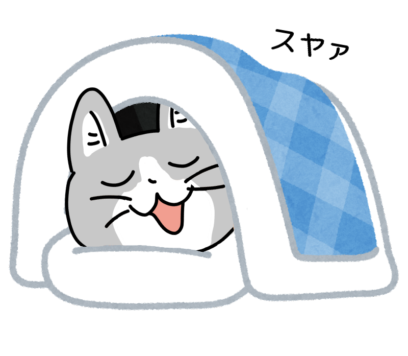 今日は