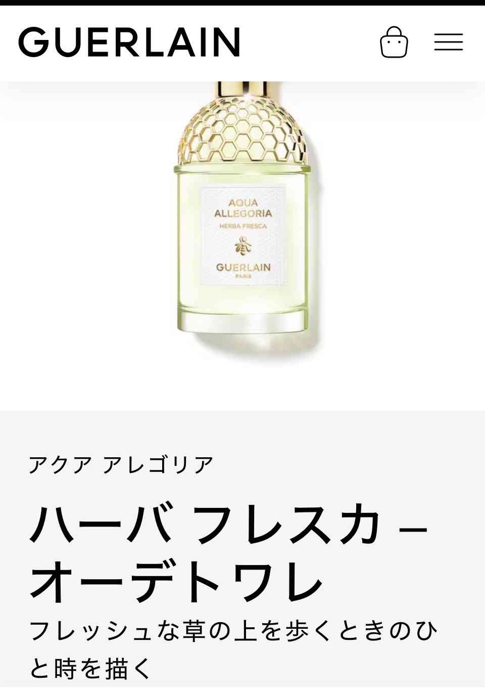 【森の香り】グリーン系、ハーバル系、ウッディ系の香水が好きな人
