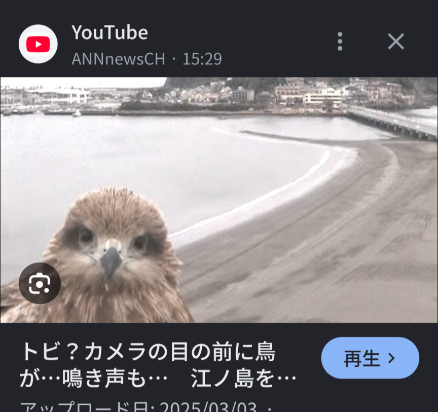 みんなが気分が落ち込んでるとき見る動画教えて