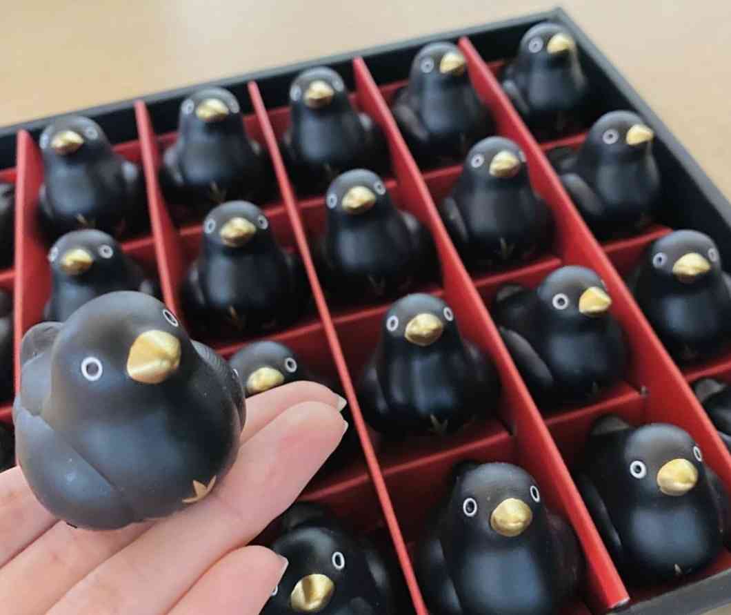 おみくじ、信じますか？
