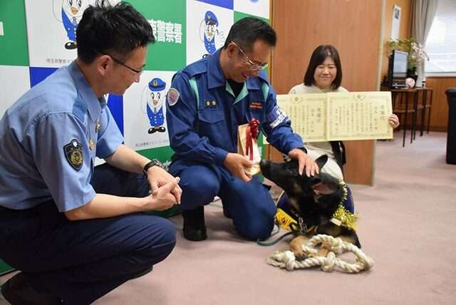 警察犬「おはぎ」初仕事でお手柄…行方不明の80代女性を発見、夜の街を30分追跡　普段は甘えん坊　家族のように育てた指導士も笑顔