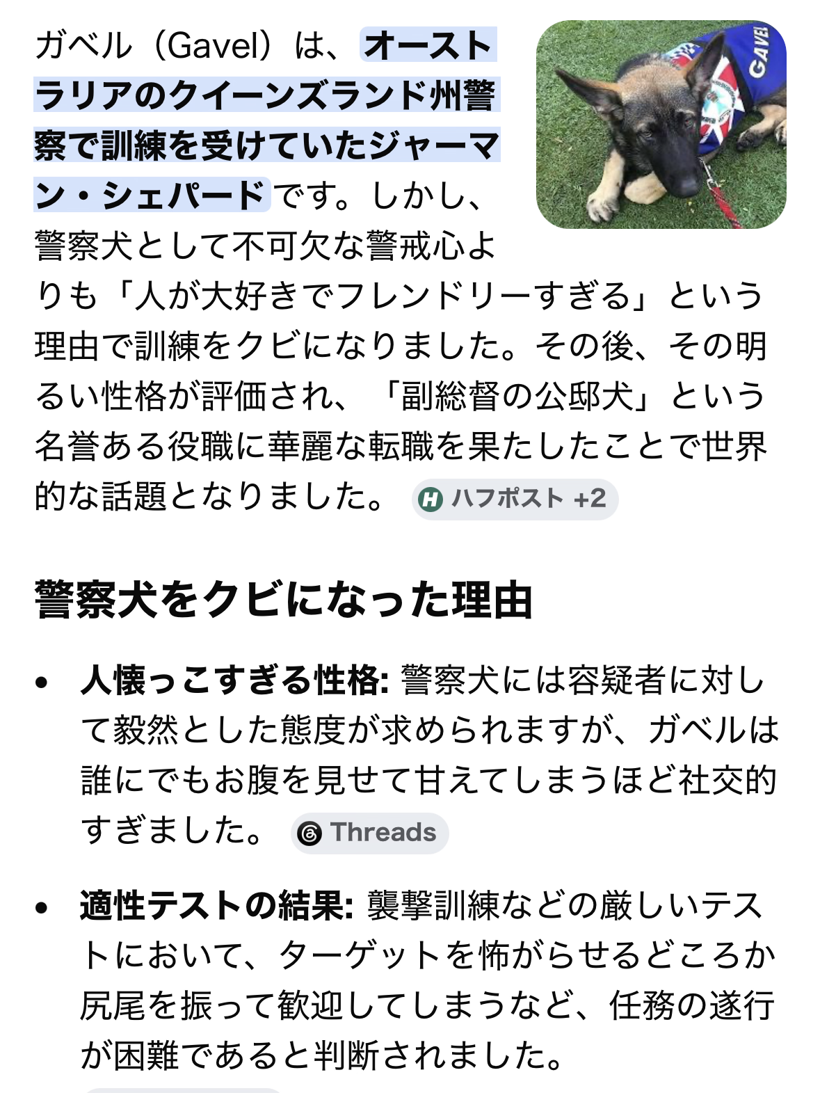 警察犬「おはぎ」初仕事でお手柄…行方不明の80代女性を発見、夜の街を30分追跡　普段は甘えん坊　家族のように育てた指導士も笑顔