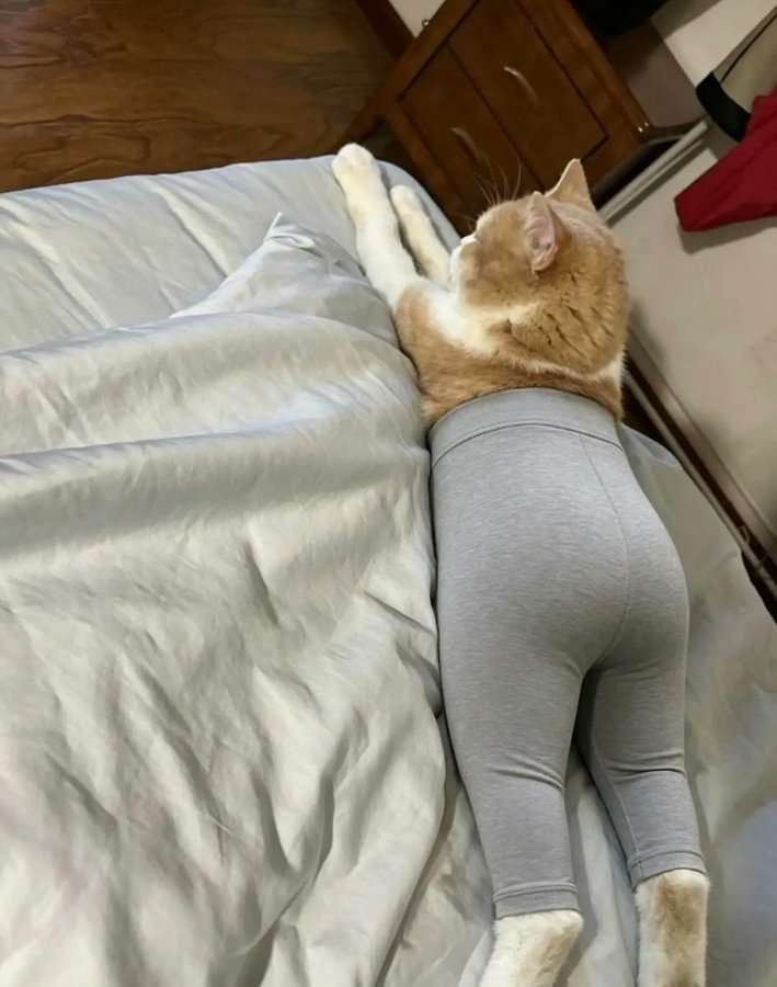 骨折しました